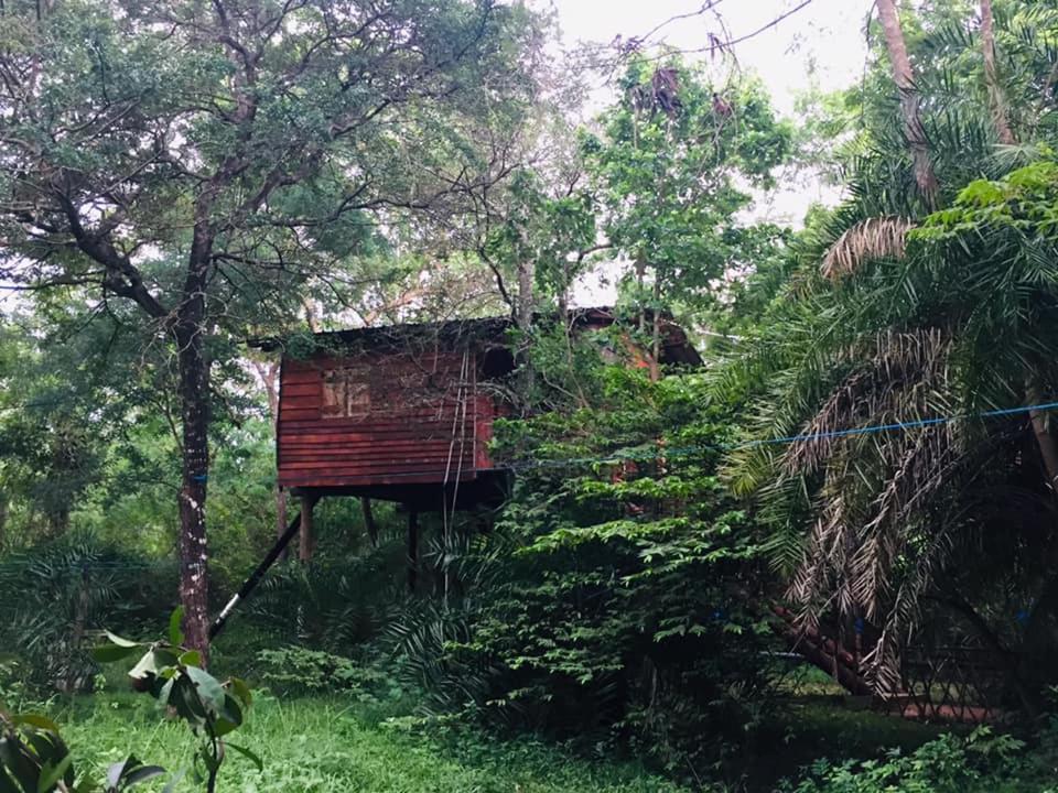 Tree House Hostel Sigiriya Exterior foto